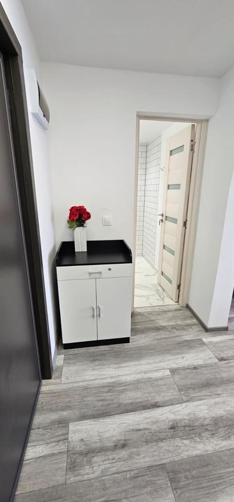 Escape Residence Vişeu de Sus Zewnętrze zdjęcie
